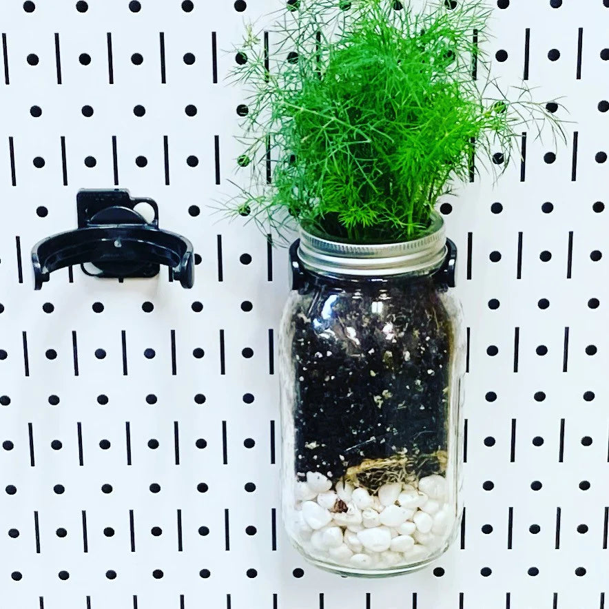 Wallwerx Regular Mouth Jar Bracket (1-pack)